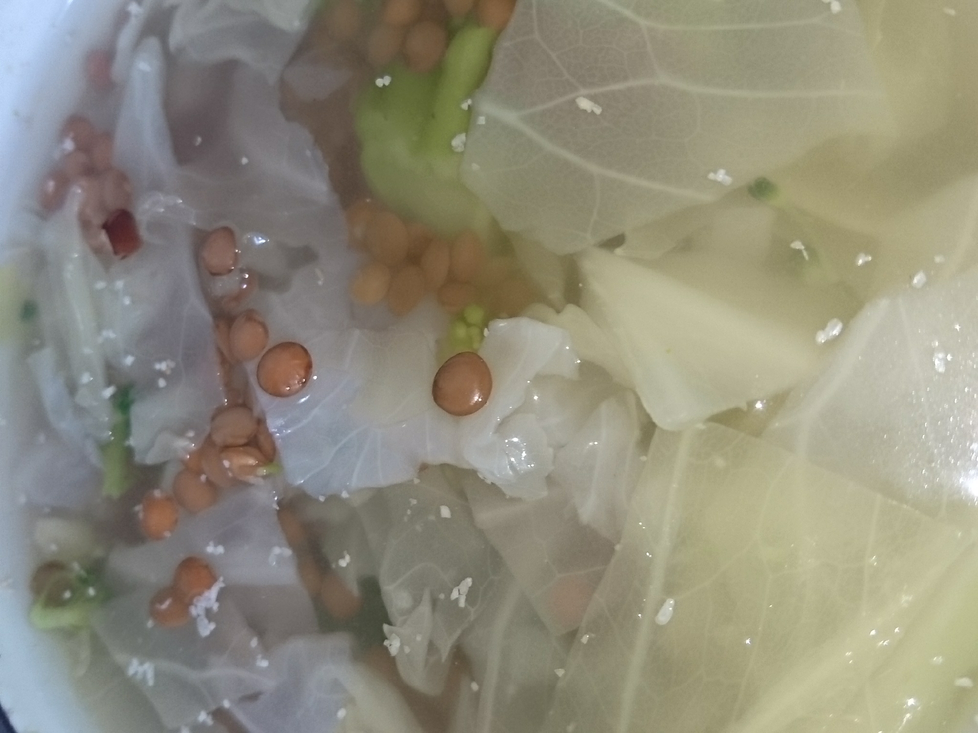 皮付きレンズ豆(アメリカ産 乾燥)とキャベツスープ