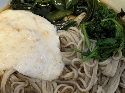 小松菜ととろろ昆布ととろろの冷そば