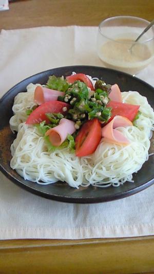 普通のそうめんに飽きたら・・サラダそうめん我が家流