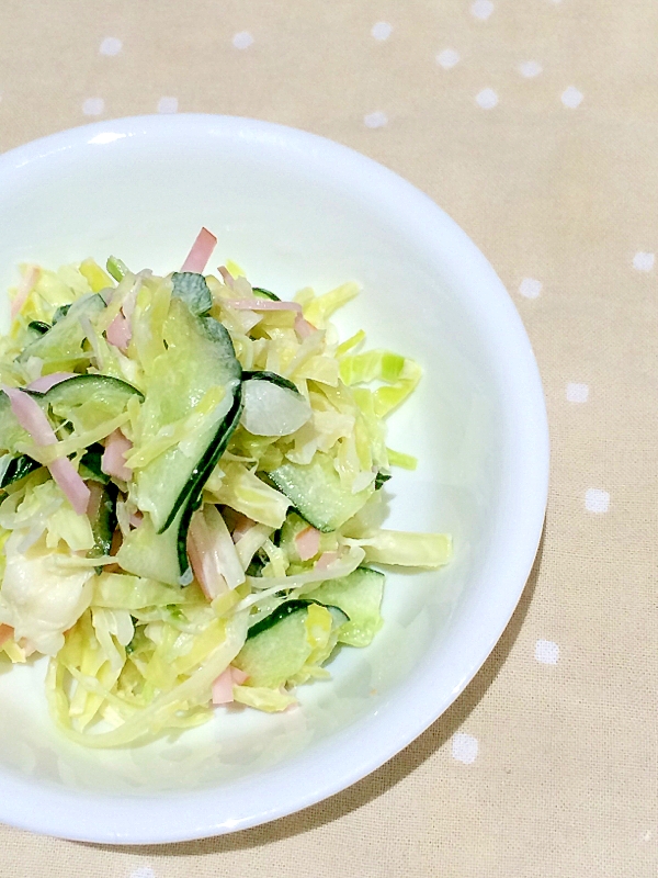 春キャベツと新玉ねぎで コールスローサラダ レシピ 作り方 By Aco Tomo 楽天レシピ