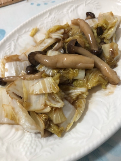 白菜しめじのオイスター煮