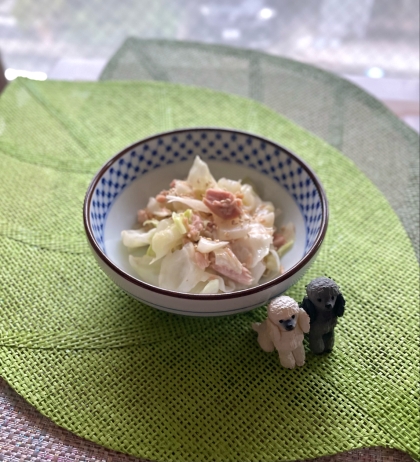 モグモグ子さんこんにちは♡昼食に頂きました！さっぱり味付けで…めちゃ美味しい♡暑い日にピッタリ٩(^‿^)۶ご馳走様でした･:☆