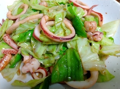 イカとキャベツのオイスターソース炒め