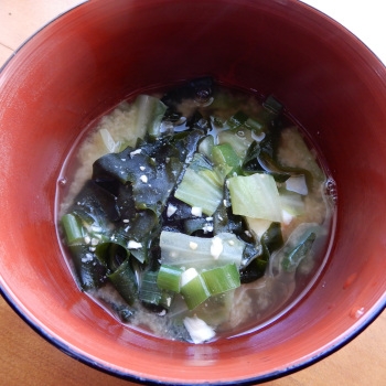キャベツと白ネギの緑の部分とワカメのお味噌汁