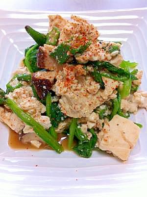 絶品！小松菜と豆腐で栄養たっぷり簡単サラダ