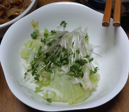 ❤ビネガー大根と水菜とカニかまのスプラウトサラダ❤