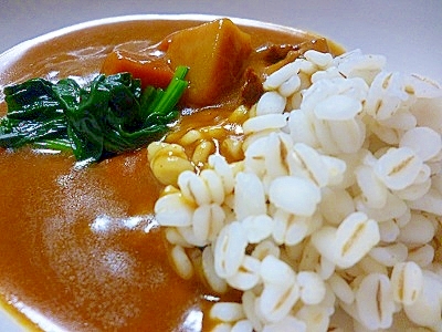 麦１００％ごはんでカレー