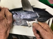 鰹のさばき方 レシピ 作り方 By シオン 楽天レシピ 鰹のさばき方 レシピ 作り方 By シオン 楽天レシピ