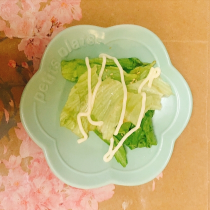 レタス♪マヨネーズサラダ
