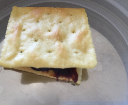 クラッカーチョコレートサンド