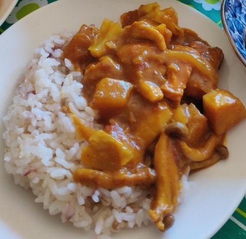 ヴィーガン　厚揚げ　根菜カレー