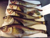 シンプル ハタハタ煮付け レシピ 作り方 By 寝虎太郎 楽天レシピ シンプル ハタハタ煮付け レシピ 作り方 By 寝虎太郎 楽天レシピ