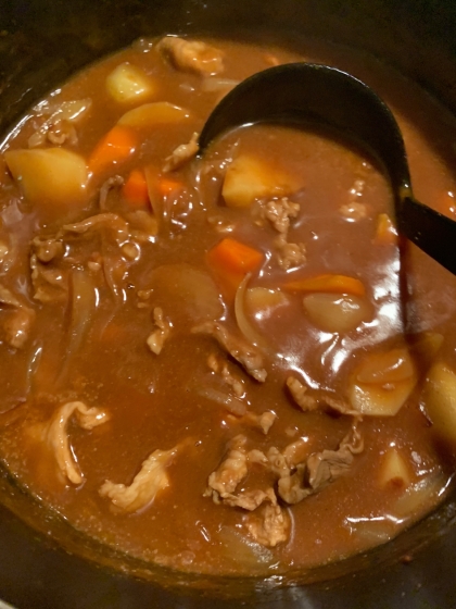 キャンプ飯♪カセットコンロで煮込みポークカレー