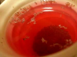花粉症対策！赤紫蘇茶