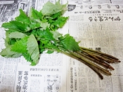 山菜ミズの葉のマヨおひたし レシピ 作り方 By yamat 楽天レシピ 山菜ミズの葉のマヨおひたし レシピ 作り方 By yamat 楽天レシピ