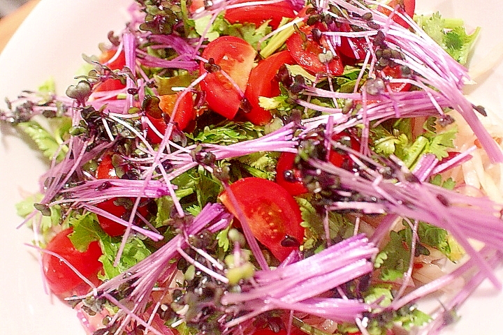 青パパイアと紫キャベツの新芽のエスニック風サラダ