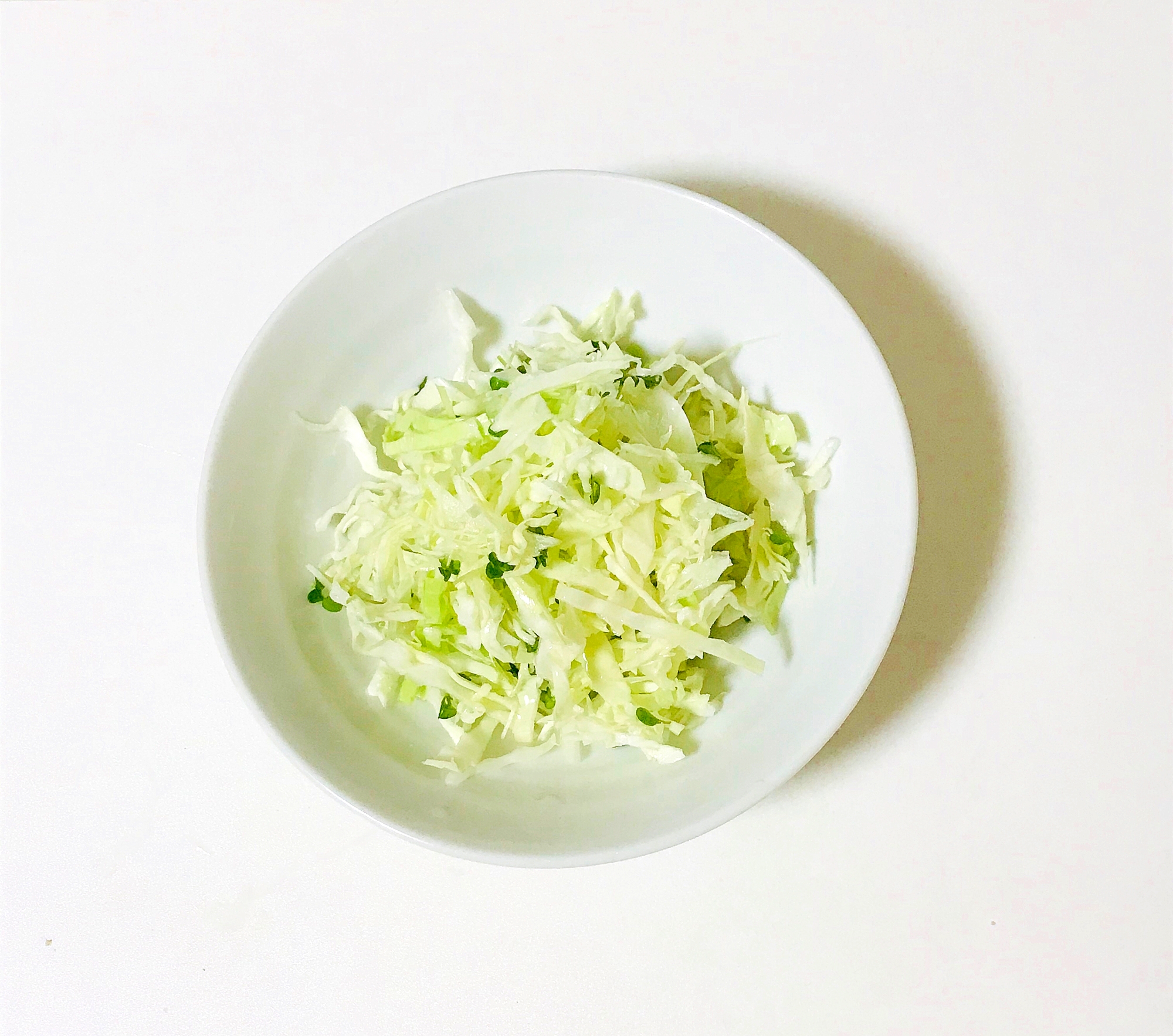 スプラウト入りシンプルキャベツサラダ レシピ 作り方 By Libre 楽天レシピ スプラウト入りシンプルキャベツサラダ レシピ 作り方 By Libre 楽天レシピ