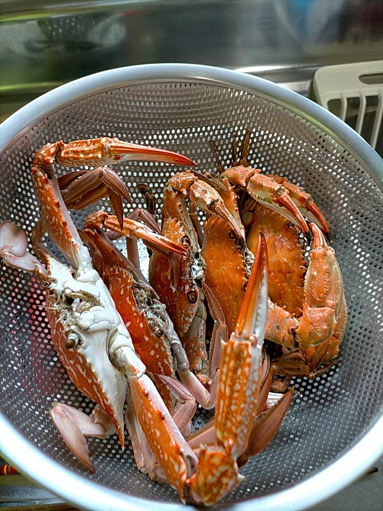 ワタリガニのゆでたの レシピ 作り方 By ニューながら 楽天レシピ ワタリガニのゆでたの レシピ 作り方 By ニューながら 楽天レシピ