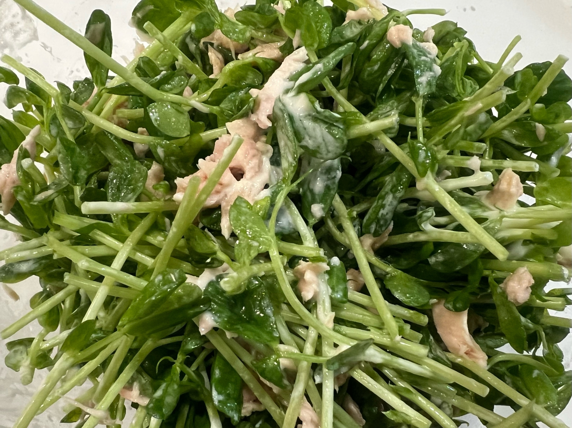 豆苗とツナのサラダ