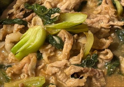 我が家の定番★豚肉と青梗菜のオイスター炒め