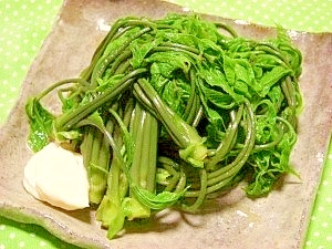 山菜の女王 コシアブラのお浸し レシピ 作り方 By ブルーボリジ 楽天レシピ