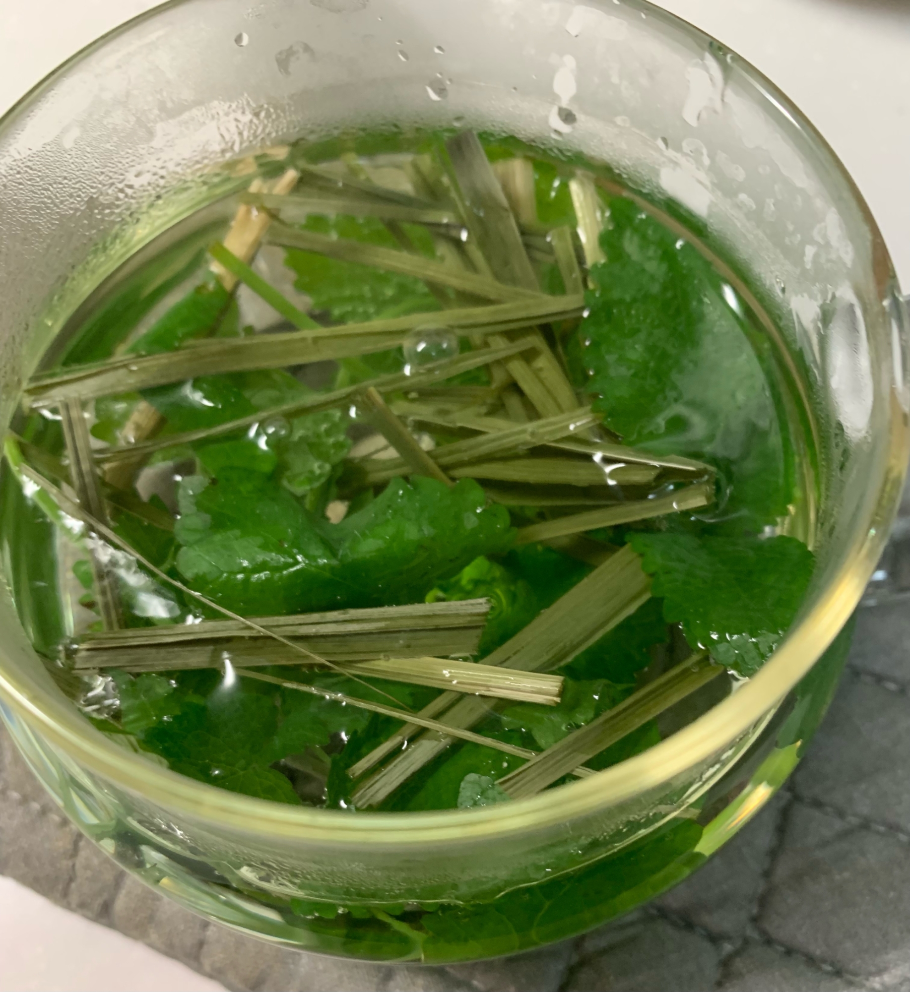 レモンバームとレモングラスのハーブティー レシピ 作り方 By Bebe2936 楽天レシピ レモンバームとレモングラスのハーブティー レシピ 作り方 By Bebe2936 楽天レシピ