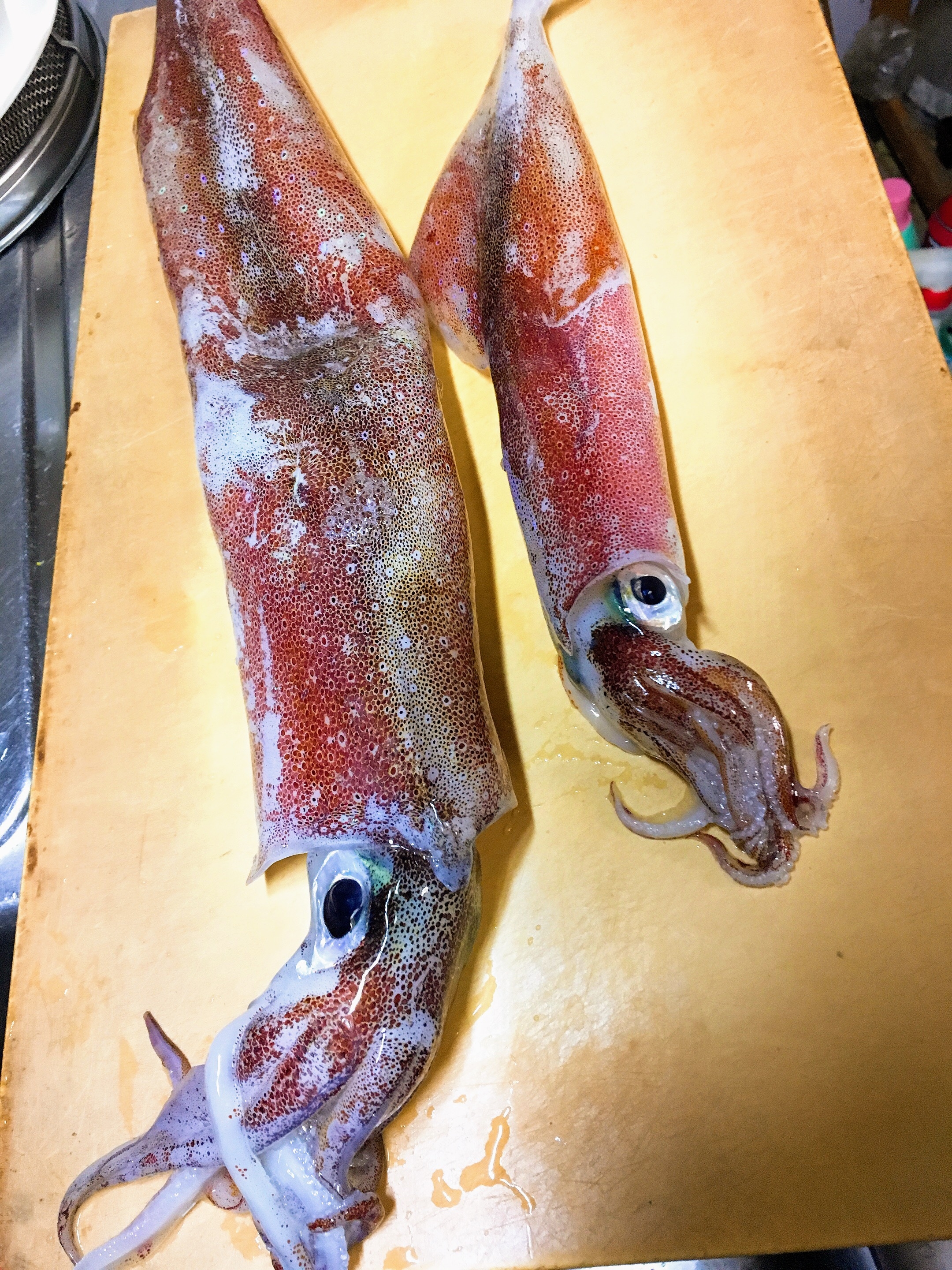 新鮮 ヤリイカの絶品お刺身 簡単なイカのさばき方 レシピ 作り方 By Rosemary 楽天レシピ