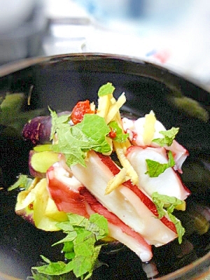 タコと水茄子のさっぱり中華サラダ レシピ 作り方 By すいかサマ 楽天レシピ タコと水茄子のさっぱり中華サラダ レシピ 作り方 By すいかサマ 楽天レシピ