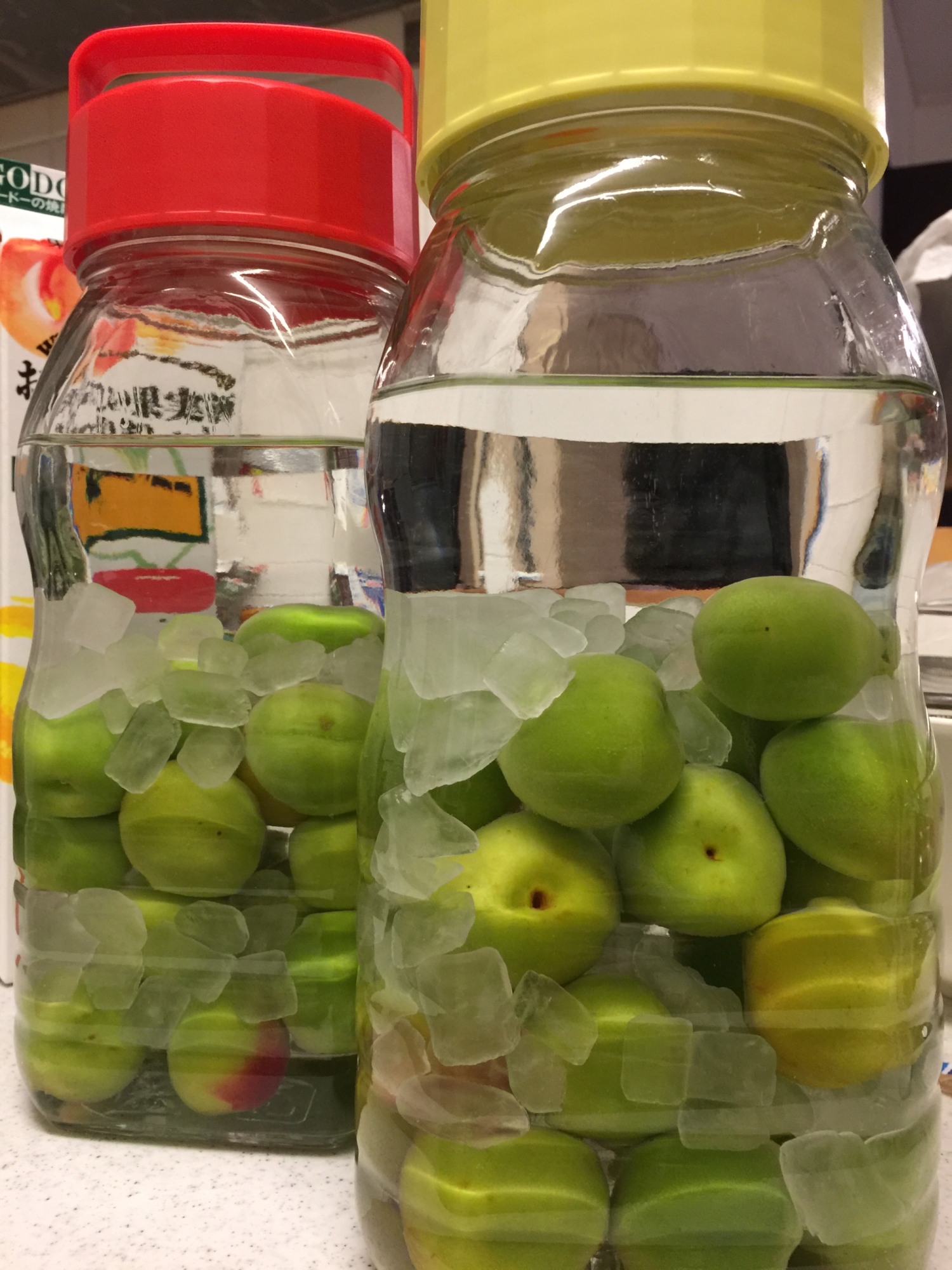 自家製梅酒