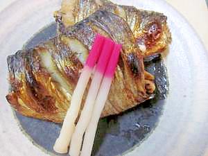 居酒屋の一品 6 北海道の旬 春ニシンを焼魚で レシピ 作り方 By Startrek 楽天レシピ 居酒屋の一品 6 北海道の旬 春ニシンを焼魚で レシピ 作り方 By Startrek 楽天レシピ