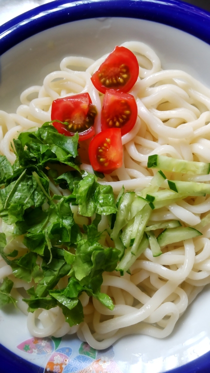 大葉冷やしソーメンorうどん✧˖°