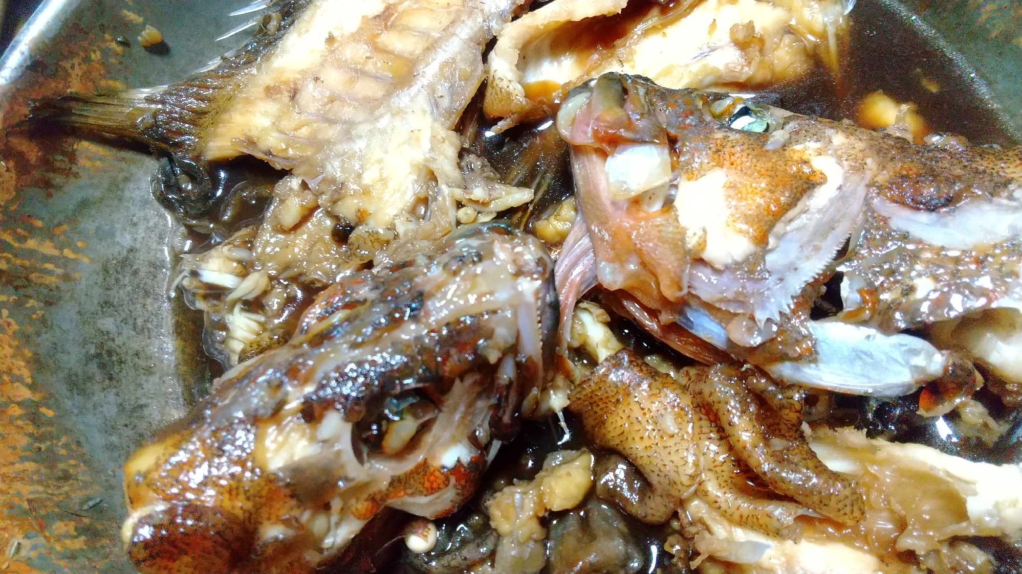 あ た本とに高級魚 アコウのあらだき レシピ 作り方 By よしか58 楽天レシピ あ た本とに高級魚 アコウのあらだき レシピ 作り方 By よしか58 楽天レシピ