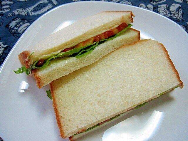 【ねんどでサンドイッチ 型セット】　パン、チーズ、レタス、ハム、トマト ホットサンド トマト ハム 玉子 チーズ by msgnb120