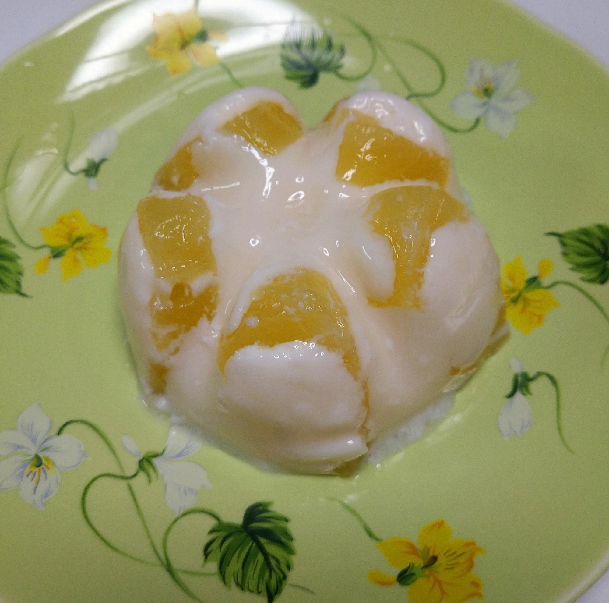 ペットボトルを使って お花のゼリー レシピ 作り方 By ばぁばの時間 楽天レシピ ペットボトルを使って お花のゼリー レシピ 作り方 By ばぁばの時間 楽天レシピ