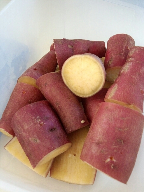 子供も大好き常備菜 さつまいもの醤油煮 レシピ 作り方 By おいもマロン 楽天レシピ 子供も大好き常備菜 さつまいもの醤油煮 レシピ 作り方 By おいもマロン 楽天レシピ