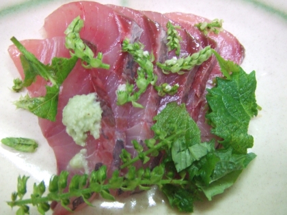 美味しく ふくらぎのお刺身 レシピ 作り方 By 寝虎太郎 楽天レシピ 美味しく ふくらぎのお刺身 レシピ 作り方 By 寝虎太郎 楽天レシピ