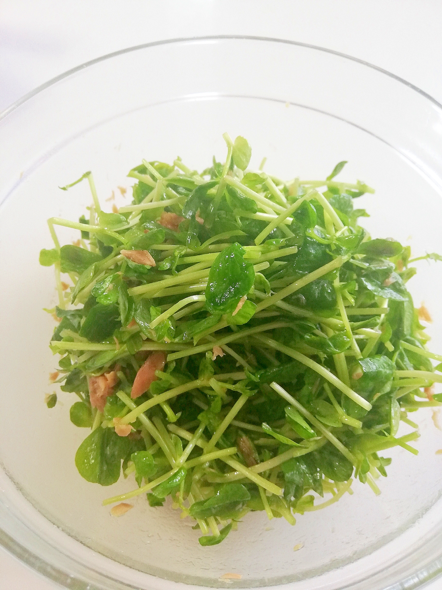 ツナと豆苗のサラダ レシピ 作り方 By モフィもふぃ 楽天レシピ