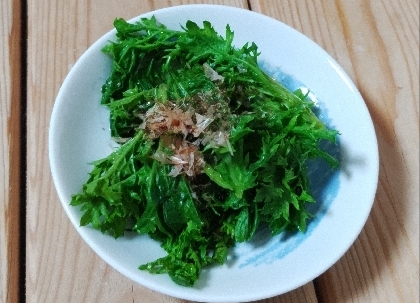 わさび菜だけで、水菜があったのに入れ忘れました(泣)おひたし、ほんのりピリ辛でおいしかったです✨
ヒノキの花粉の方が辛いのでまだまだ序の口です(汗)