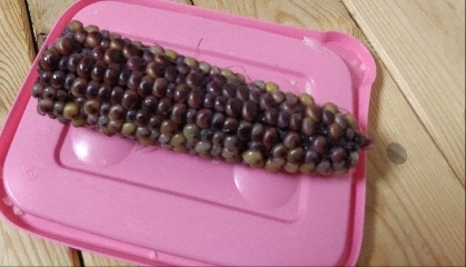 とうもろこし☆とうもろこしの塩茹