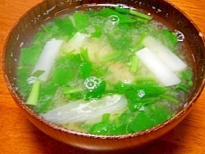 手作りの味噌汁　沙優　SP 手作りの味噌汁 沙優 SP 特価