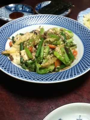 にんにくの芽と豆腐と牛コマ切れの野菜炒め