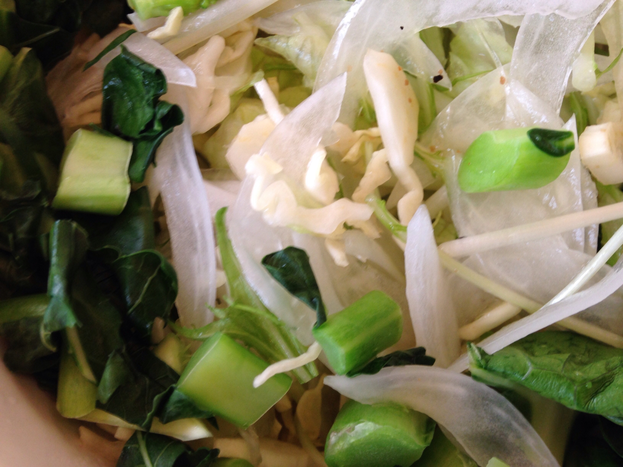 キャベツとたまねぎと水菜とブロッコリーの茎のサラダ