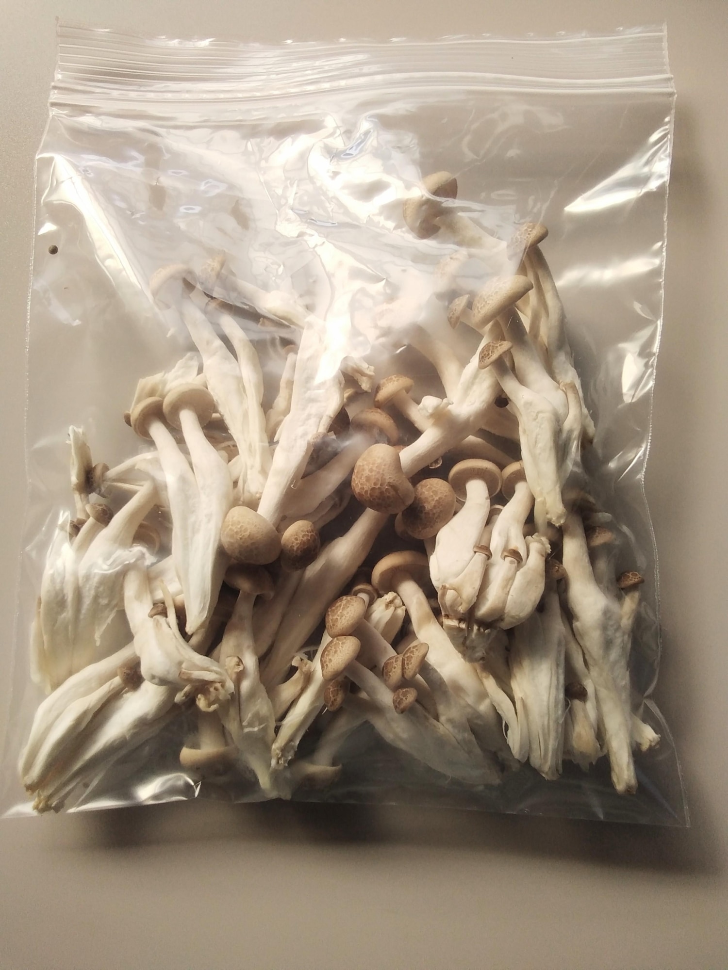 しめじ しめじの冷凍保存 1ヶ月持ちます。 レシピ・作り方 by ポイボス