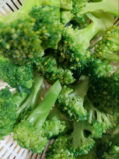 お弁当用ブロッコリーの塩ゆで