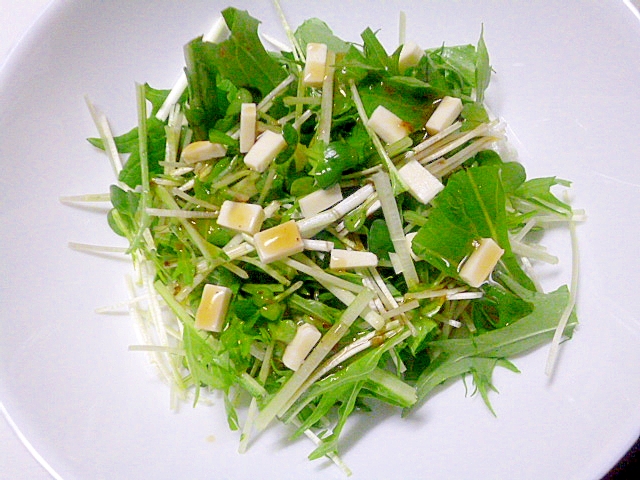 ヘルシーおつまみ♪かいわれと水菜とチーズのサラダ