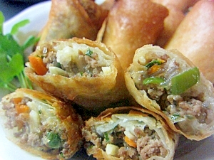 野菜たっぷり春巻き