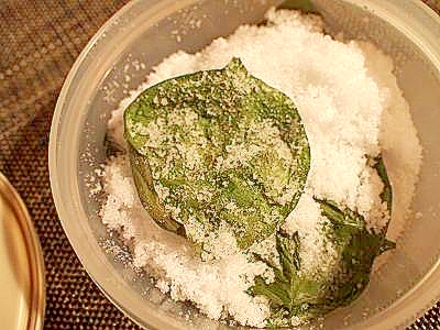 いろいろ使える 塩漬けバジル レシピ 作り方 By ブ 子 楽天レシピ いろいろ使える 塩漬けバジル レシピ 作り方 By ブ 子 楽天レシピ