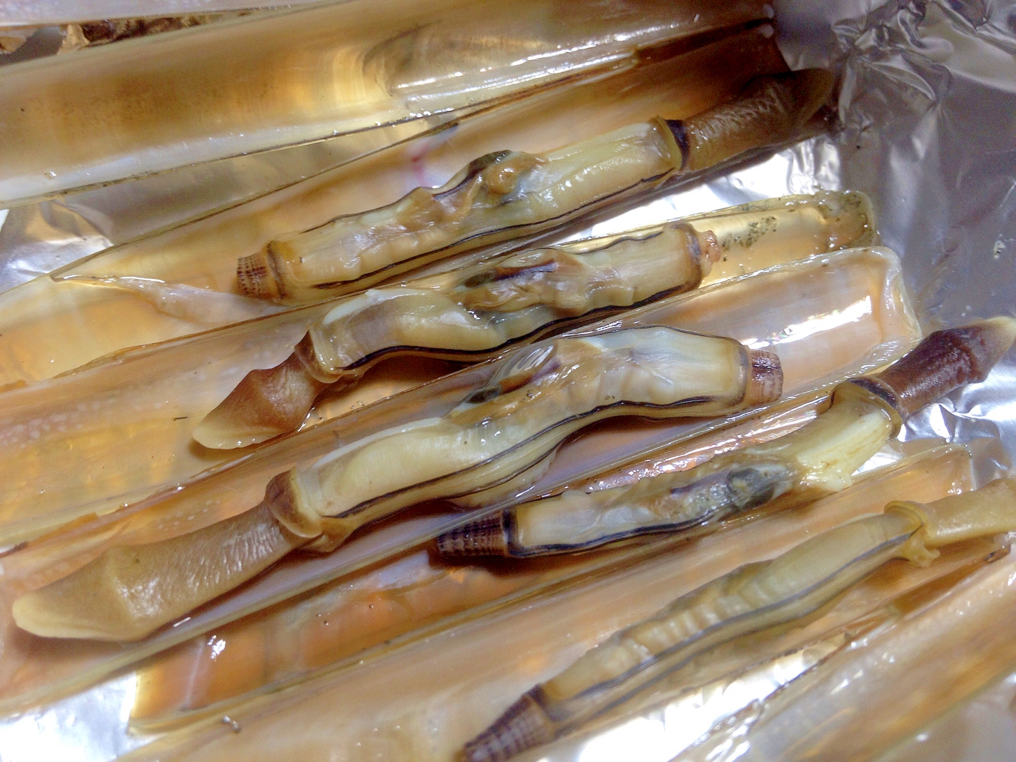 マテ貝のホイル焼き レシピ 作り方 By キリンu 楽天レシピ マテ貝のホイル焼き レシピ 作り方 By キリンu 楽天レシピ