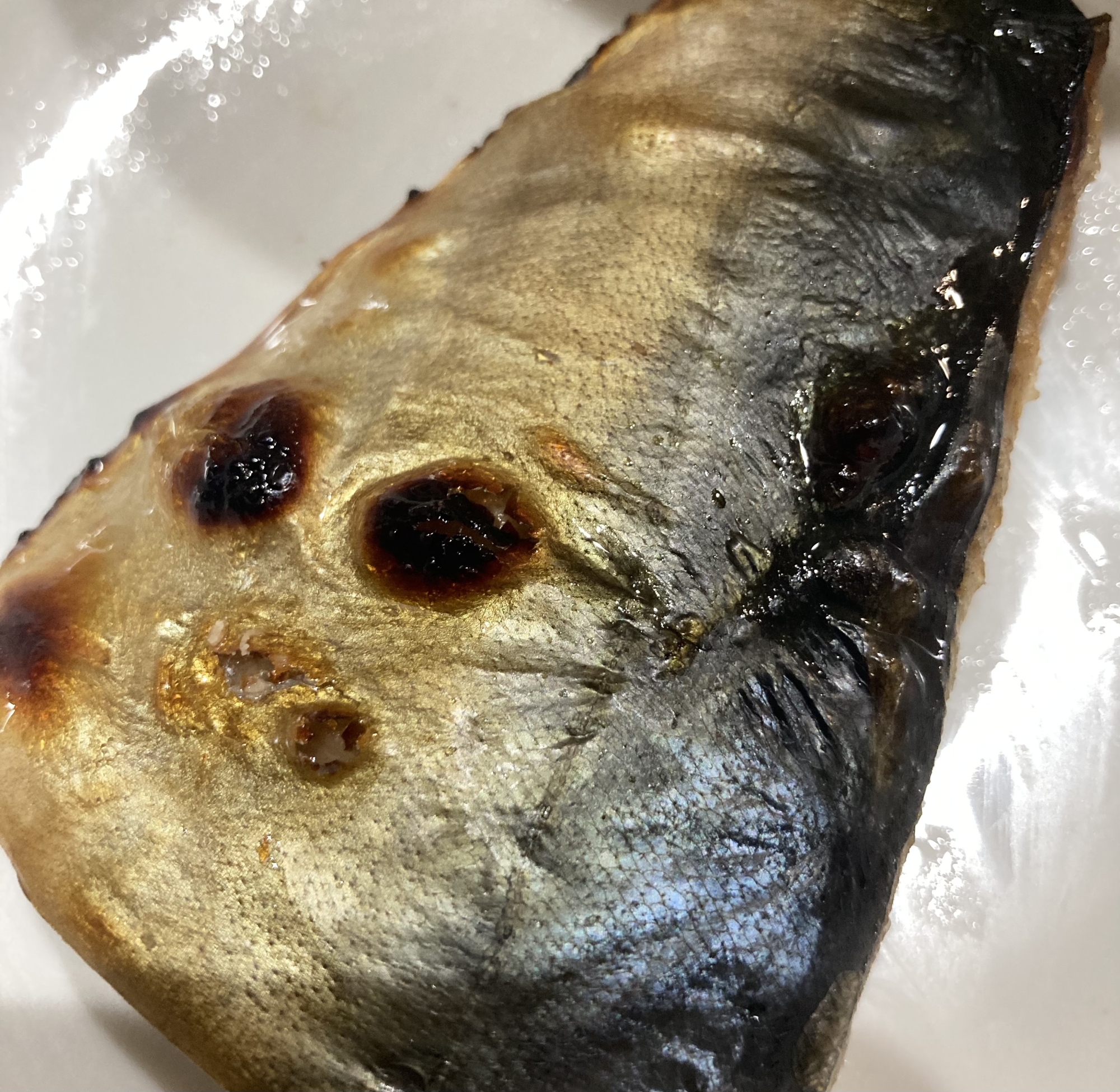 酒につけた真鯖焼き