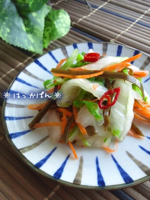 梅昆布茶で簡単 白菜の浅漬け レシピ 作り方 By 薄荷パン 楽天レシピ